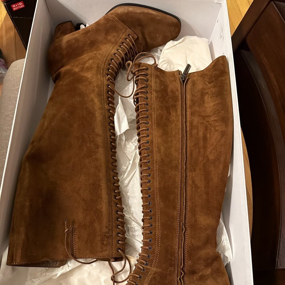 Beautiful Theory Boots in original box
